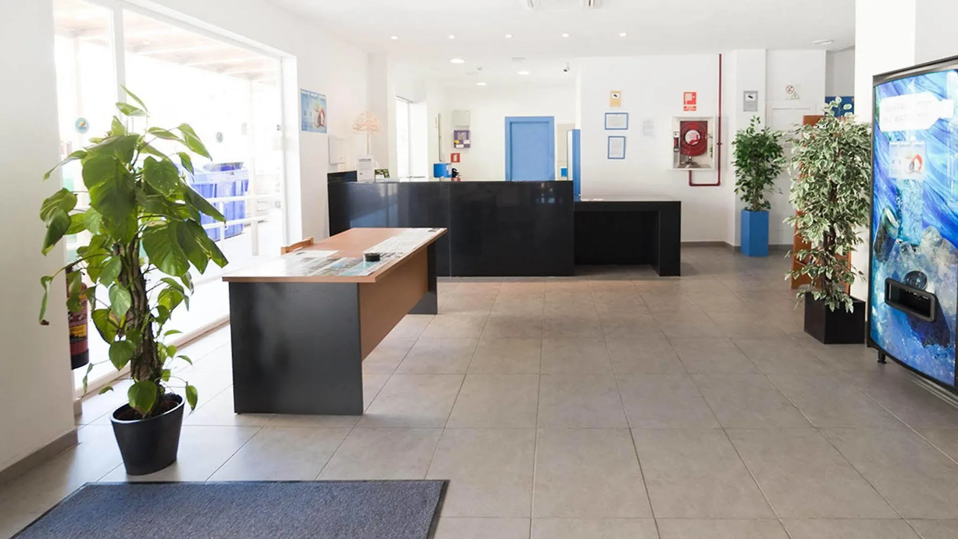 Apartamentos Vibra Caleta (Adults Only) San Antonio  San Antonio (Ibiza)